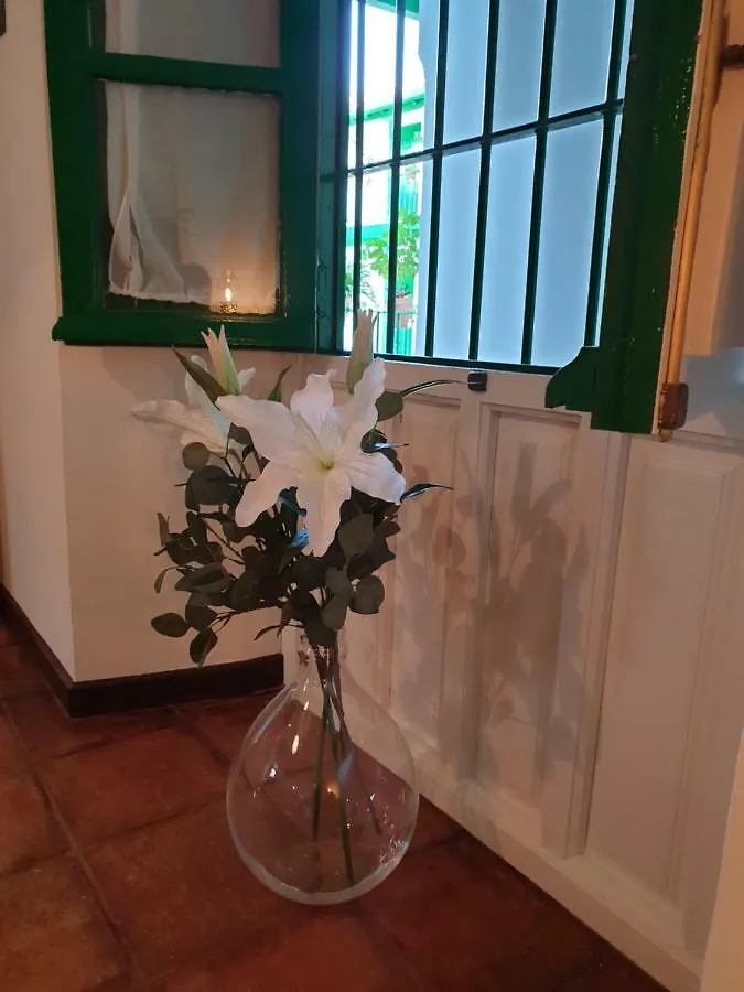 Apartamento Suite Las Setas Siviglia Appartamento